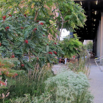 150823 97 High Line
