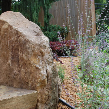 Newly designed backyard garden.