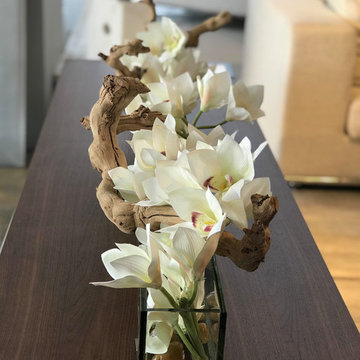 New Collection 2019