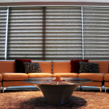 Drapery Connection's Kathy Salerno: Chicago Condo