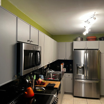 Modern Kitchen Remodel Done in a Slim Shaker Door
