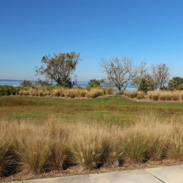 Oakland Park Lot 404 - Winter Garden, FL 34787