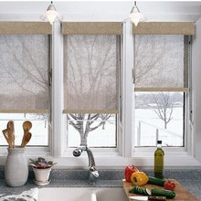 Two Story Windows with solar /roler shades