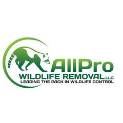AllPro Wildlife Removal LLC