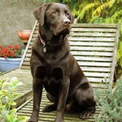 Jonny Wharton's photo