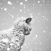 Тетяна Сулимаs foto