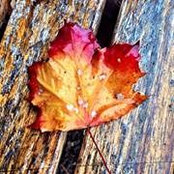Christofer Whitmire's photo