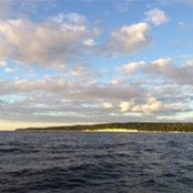 Mark Fisk's photo