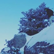 Justin Swinsky's photo