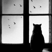 Suzanne Craig's photo