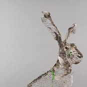 Nelly Schmücking's photo