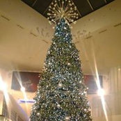 Ramona McKendrick's photo