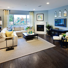 Living Room Ideas