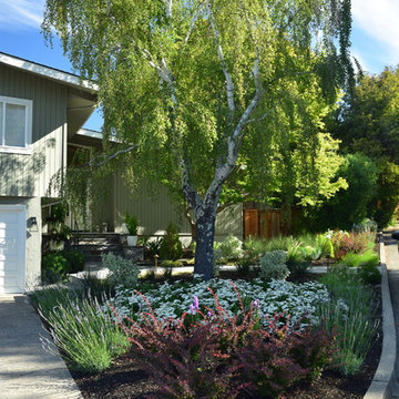 Entry pathway and steps