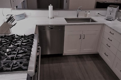 Inspiration for a timeless l-shaped kitchen pantry remodel in Houston with raised-panel cabinets, white cabinets and an island