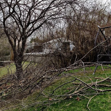 Uneven ground and mature trees along the Oakville fence line before work started