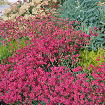 Romantic Bungalow Garden