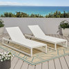 Noble House Metten Outdoor Mesh Chaise Lounge (Set of 2) White