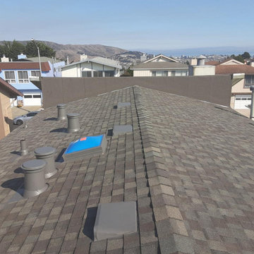 Roof with Skylights