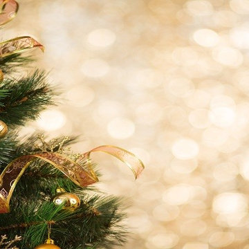 Tips to Keep Your Floor Safe from the Christmas Tree