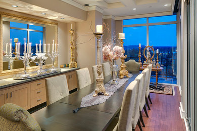 Penthouse  Remodel