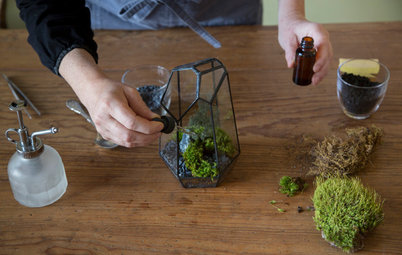 DIY Project: Make a Mini Moss Sanctuary