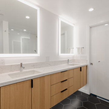Interior remodeling- Dog -Patch apartment #2