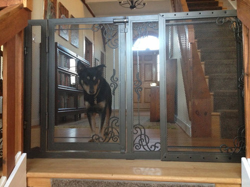 cat helps dog through gate