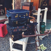 Solange Koesler's photo