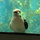 Kevin