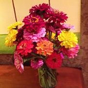Amy Crane's photo