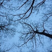 Sue Miller's photo