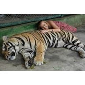 Merryn Helleur's photo