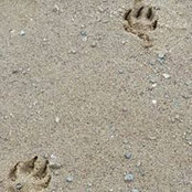Foto von Kath Hankins