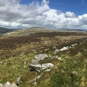 Stephen Waldron's photo