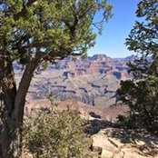 Diane Hall's photo