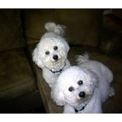 Sandra Hiney's photo