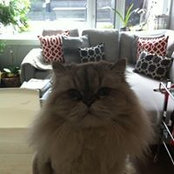 Laura Long's photo