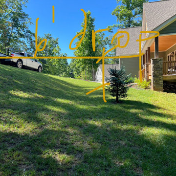 An Artist and her Front Yard