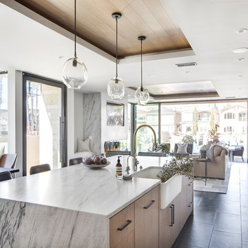 Contemporary Kitchen