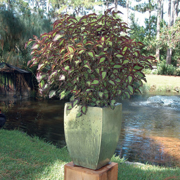 Palm Beach Container Gardens