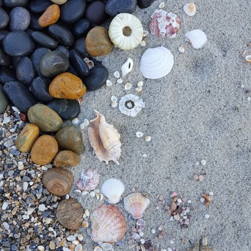 Sandy Beach Garden