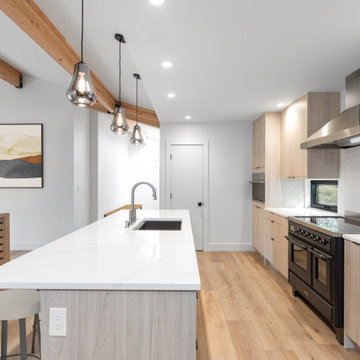 Carkeek Major Remodel