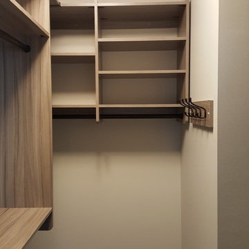 Ludlow small master closet