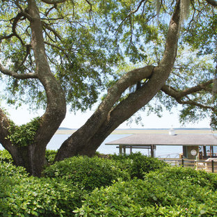 アトランタの大きいビーチスタイルのおしゃれな裏庭のデッキ (桟橋、張り出し屋根) の写真