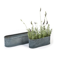 Pots & Things