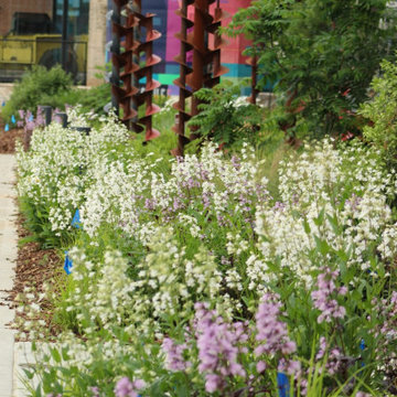 Landscaping Projects