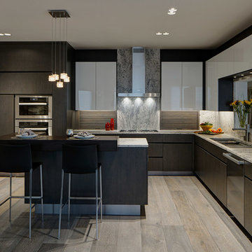 Sleek Kitchen Design