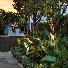 Garden and pool inspiration