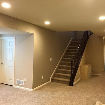 Toro Contracting Projects